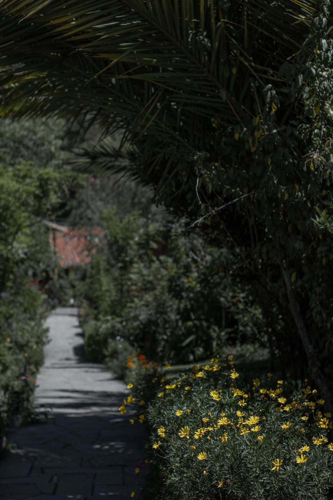 Andean Wings Valley อูรูบัมบา ภายนอก รูปภาพ